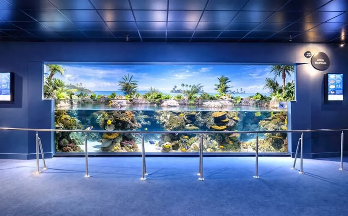 Cover for Activitats de manteniment a l' Aquàrium de Barcelona